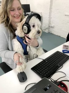 Dog with headphones on sitting at a computer screen